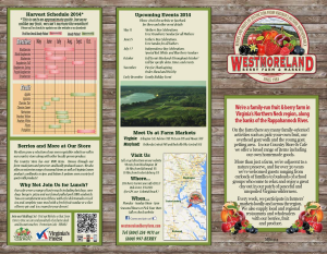 agave-blue-marketing-best-brochure-westmoreland-berry-farm-outside